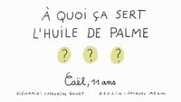 A quoi ça sert l'huile de palme ?