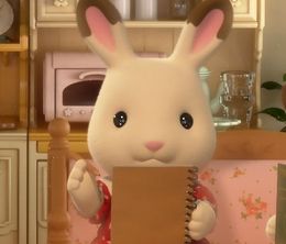 image-https://media.senscritique.com/media/000018331661/0/sylvanian_families.jpg