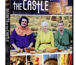 image-https://media.senscritique.com/media/000018333925/0/secrets_of_the_castle.jpg