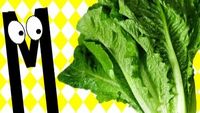Le Domande dei Vegani agli Onnivori!