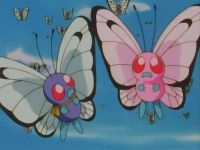 Un Pokémon amoureux