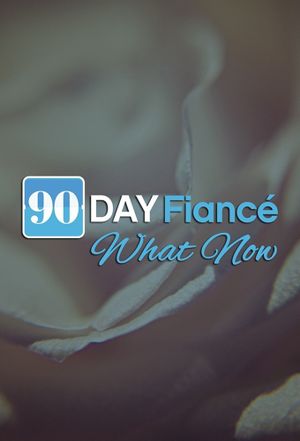 90 Day Fiancé: What Now