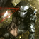 Avatar Death Watch Avatar Death Watch