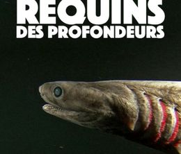 image-https://media.senscritique.com/media/000018345891/0/requins_des_profondeurs.jpg