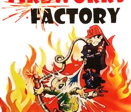 image-https://media.senscritique.com/media/000018347705/0/fireworks_factory.jpg