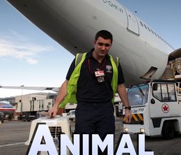 image-https://media.senscritique.com/media/000018348486/0/animal_airport.jpg