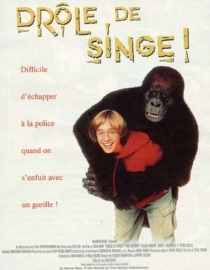 Drôle de singe !