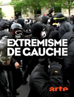 Extrémisme de gauche - Entre protestation et terreur