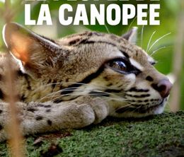 image-https://media.senscritique.com/media/000018358467/0/le_peuple_de_la_canopee_la_quete_de_soleil.jpg