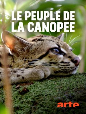 Le peuple de la canopée - La quête de nourriture