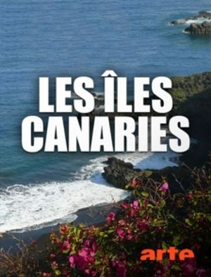 Les îles Canaries - Entre forêts et déserts