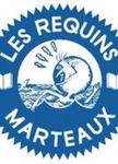 Les Requins Marteaux