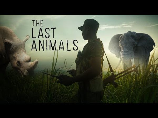 The Last Animals