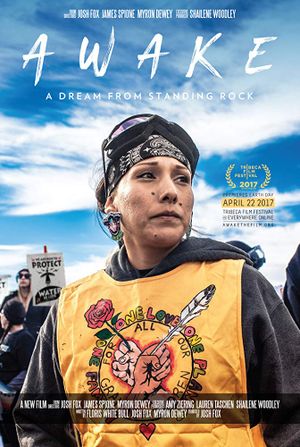 Awake, a Dream from Standing Rock
