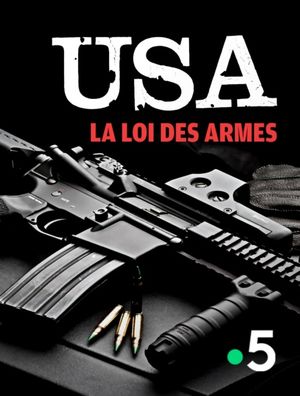 USA, la loi des armes