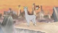 Llamas with Hats 11