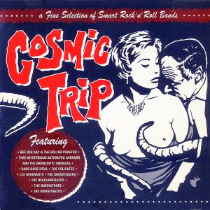 Cosmic Trip