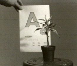 image-https://media.senscritique.com/media/000018390636/0/teaching_a_plant_the_alphabet.jpg