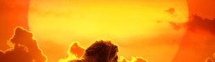 Affiche Le Roi Lion