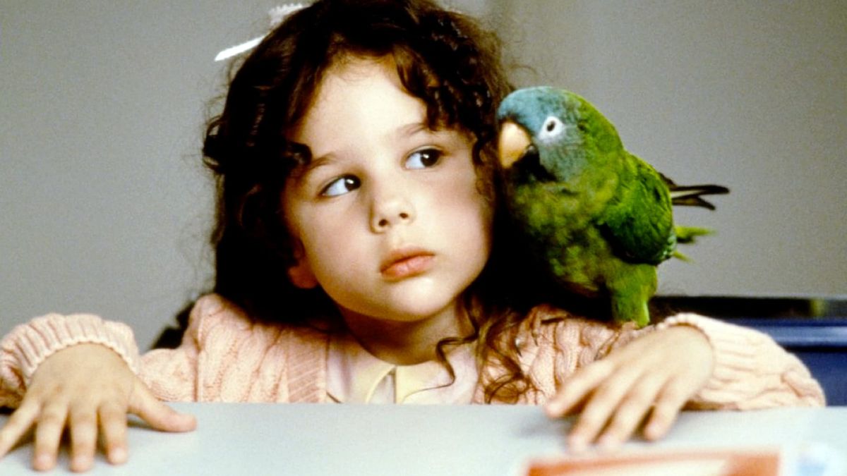 Paulie Le Perroquet Qui Parle Trop Paulie, le perroquet qui parlait trop - Film (1998) - SensCritique