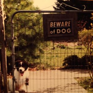Do No Harm (EP)