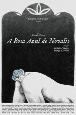 A rosa azul de Novalis