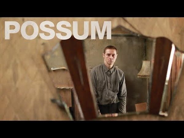 Possum