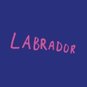 Labrador