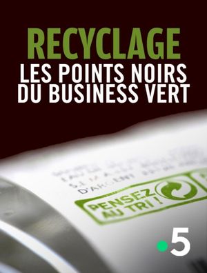 Recyclage - Les points noirs du business vert