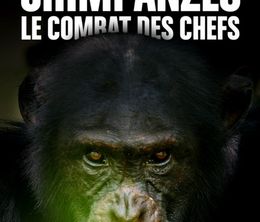 image-https://media.senscritique.com/media/000018408844/0/chimpanzes_le_combat_des_chefs.jpg