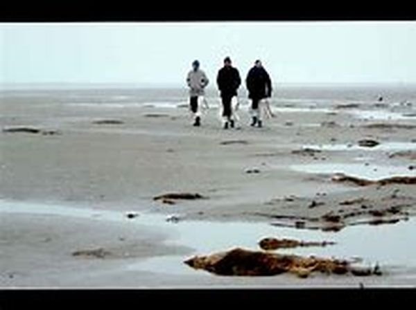 L'île des moines