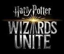 image-https://media.senscritique.com/media/000018415783/0/Harry_Potter_Wizards_Unite.jpg