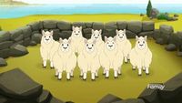 Des robots et des moutons