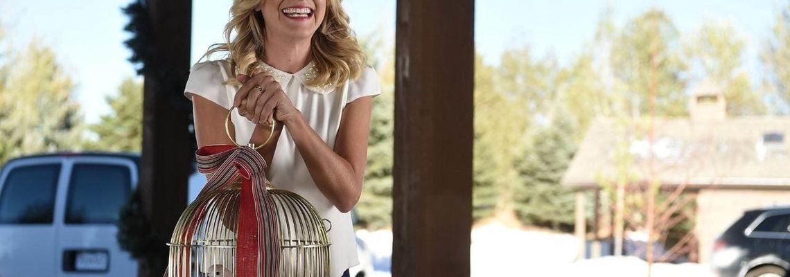 Cover Romance secrète à Noël