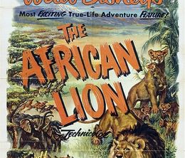 image-https://media.senscritique.com/media/000018427928/0/lions_d_afrique.jpg