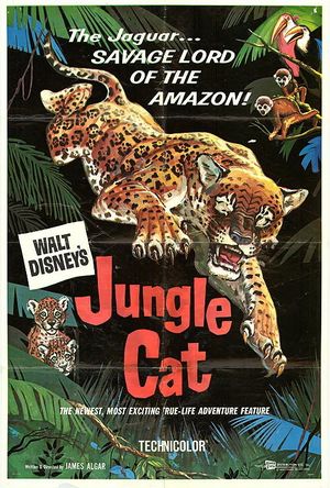 Le Jaguar, Seigneur de l'Amazone