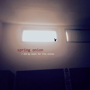 I Did My Taxes for Free Online