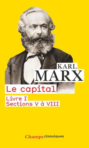 Le Capital, livre I, sections V à VIII