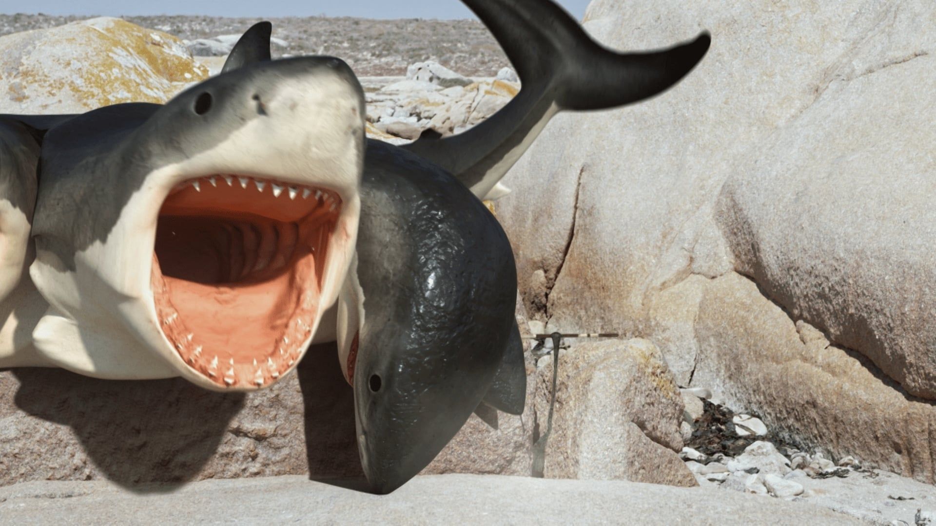L'Attaque du Requin à 6 têtes: : Brandon Auret, Thandi