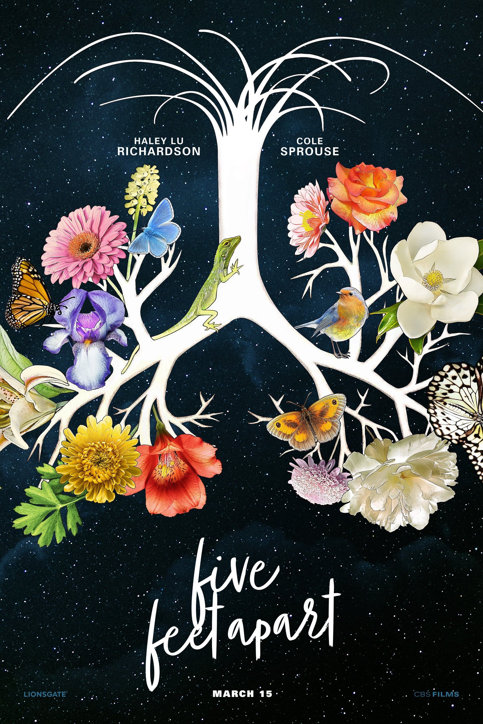 A Deux Metres De Toi Livre Affiches, posters et images de A deux mètres de toi (2019)