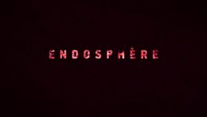 Endosphère