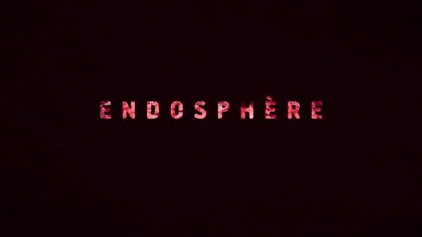 Endosphère