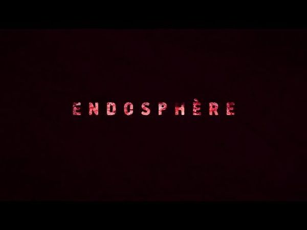 Endosphère