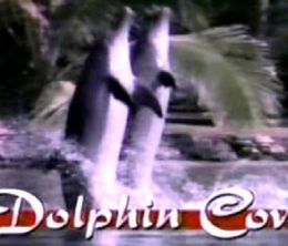 image-https://media.senscritique.com/media/000018441186/0/dolphin_cove.jpg