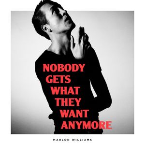 Nobody Gets What They Want Anymore (Single)