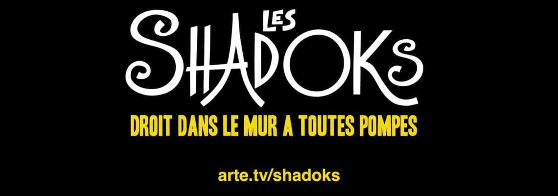 Cover Les Shadoks, droit dans le mur à toutes pompes