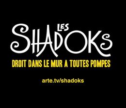image-https://media.senscritique.com/media/000018445066/0/les_shadoks_droit_dans_le_mur_a_toutes_pompes.jpg