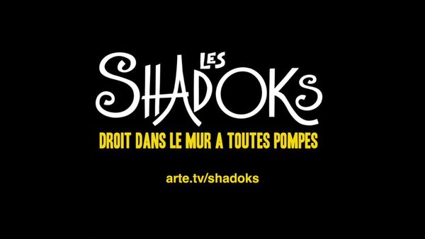 Les Shadoks, droit dans le mur à toutes pompes