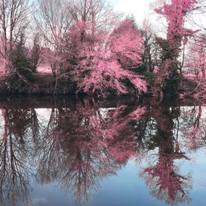 river call me (Single)