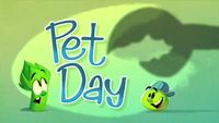 Pet Day